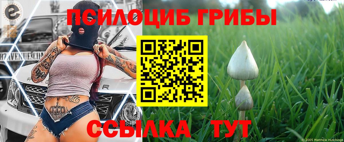 Псилоцибиновые грибы мухоморы  Вход с VPN  Северобайкальск 