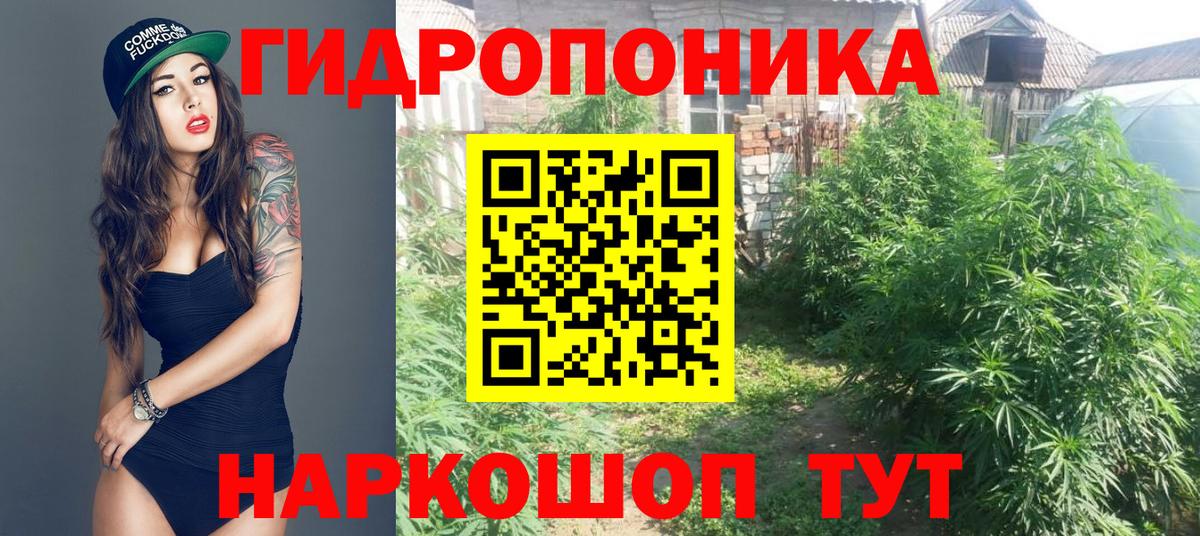 Каннабис OG Kush  Бошки марихуана MAZAR  Бошки марихуана THC 21%  Северобайкальск  Каннабис гибрид  Вход с VPN 